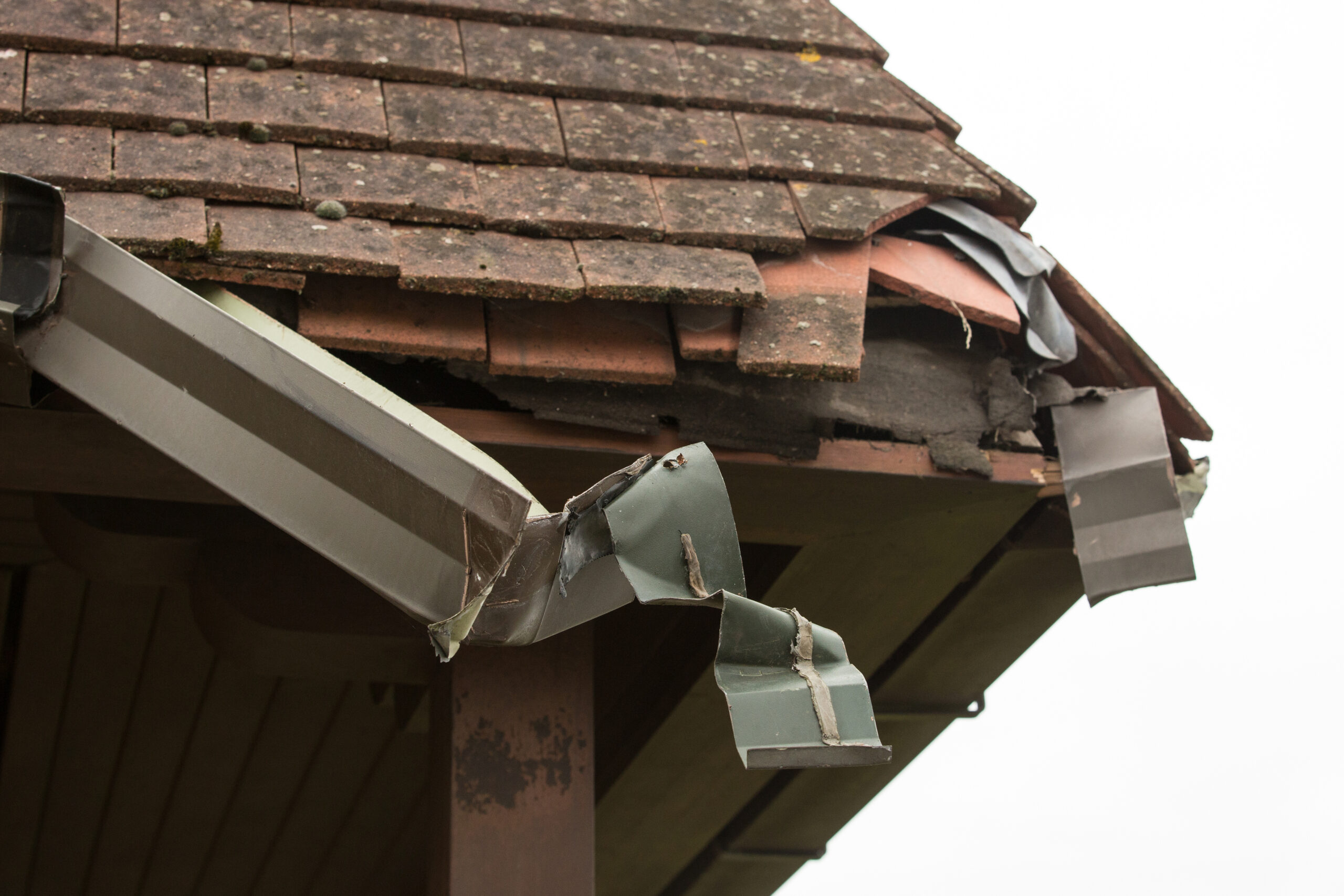 – Protecting Your Home: How to Identify and Prevent Animal Damage to Roofs, Gutters, and Attics